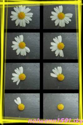 iL m'AiMe, iL m'AiMe PaS...