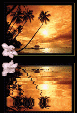 Un SoIr, UnE nUiT...