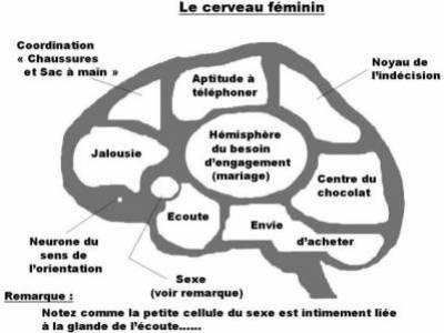 CeRvEaU F�MiNiN...