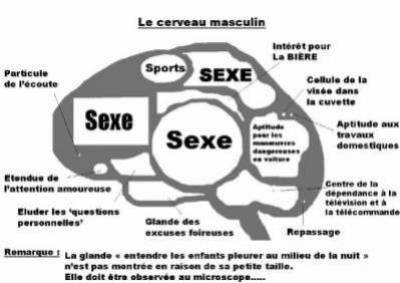 CeRvEAU mAsCuLiN...