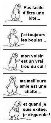 HuMoUr...HiHi...