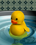 DuCk...